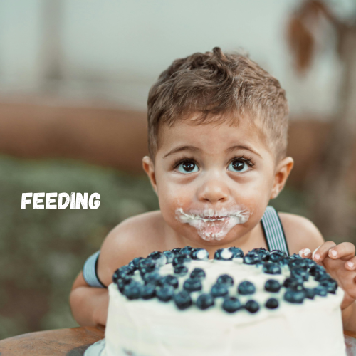 Feeding