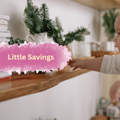Little Savings